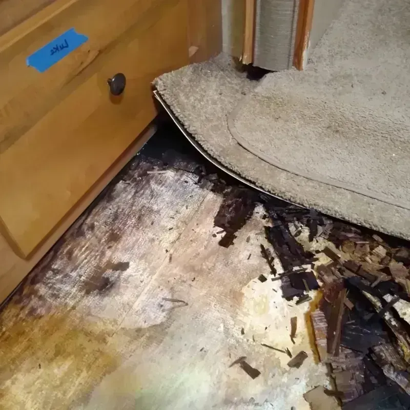 Best Wood Floor Water Damage Service in West Memphis, AR